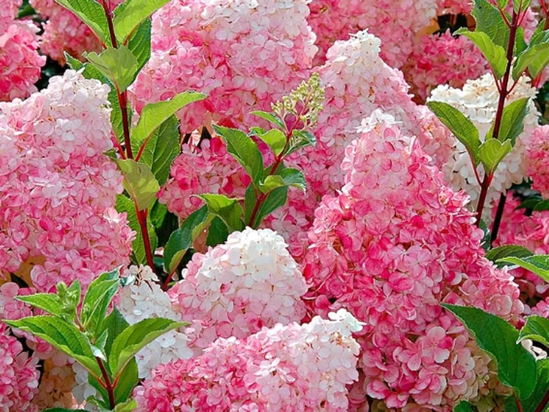 company-gallery-image-2031