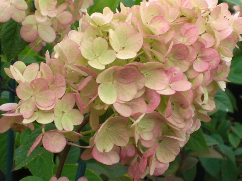company-gallery-image-2032