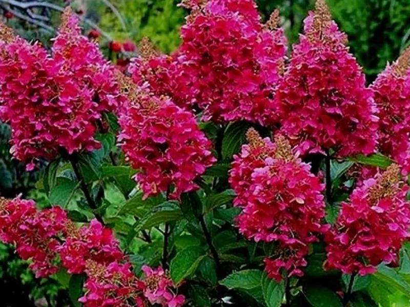 company-gallery-image-2033