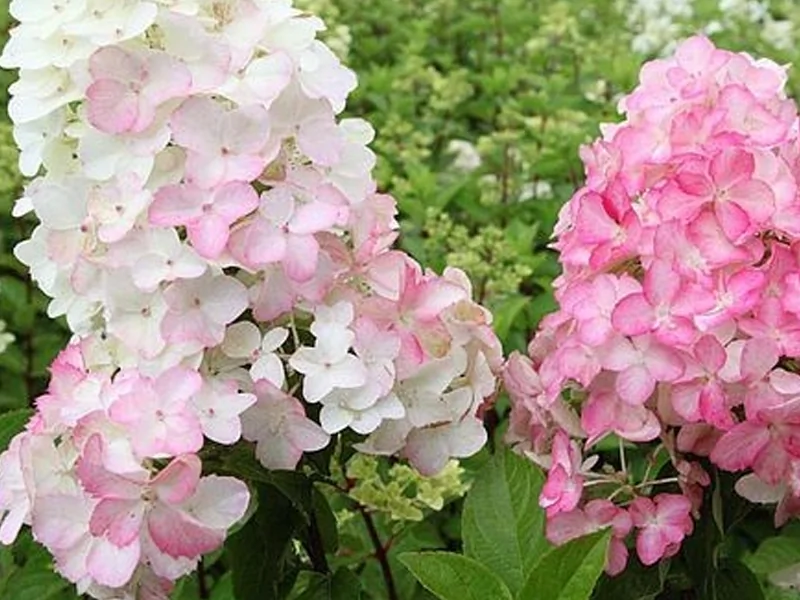 company-gallery-image-2034