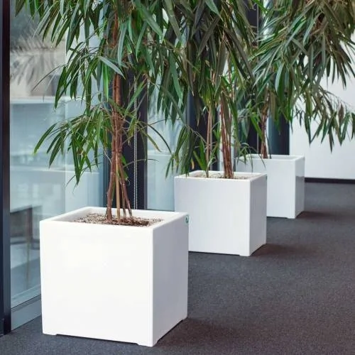 company-gallery-image-1127