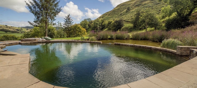 tip-article-image-Ile realnie kosztuje budowa stawu kąpielowego?