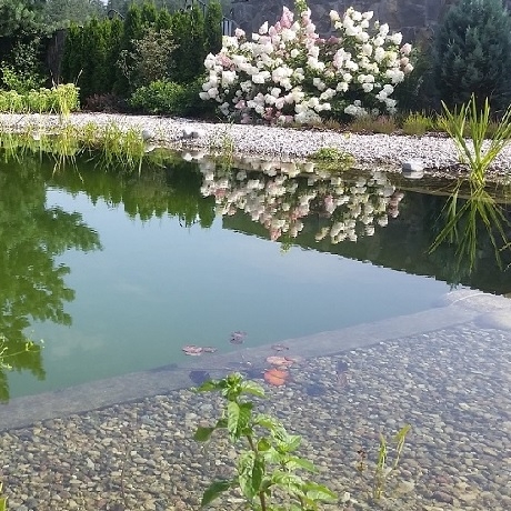 tip-article-image-Jak prawidłowo zaprojektować i zbudować staw kąpielowy?