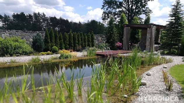 tip-article-image-Jak prawidłowo zaprojektować i zbudować staw kąpielowy?