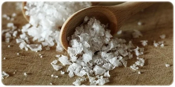 baner-image-SALTANDMORE