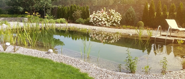 baner-image-Stawy kąpielowe