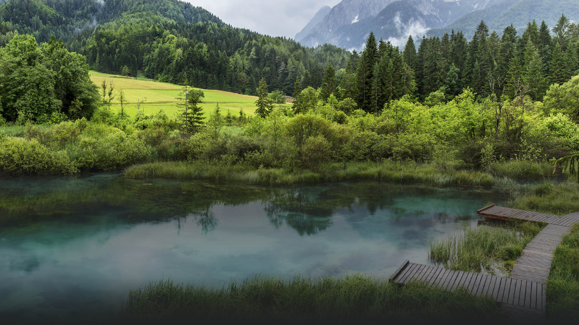 tip-image-Jak prawidłowo zaprojektować i zbudować staw kąpielowy?