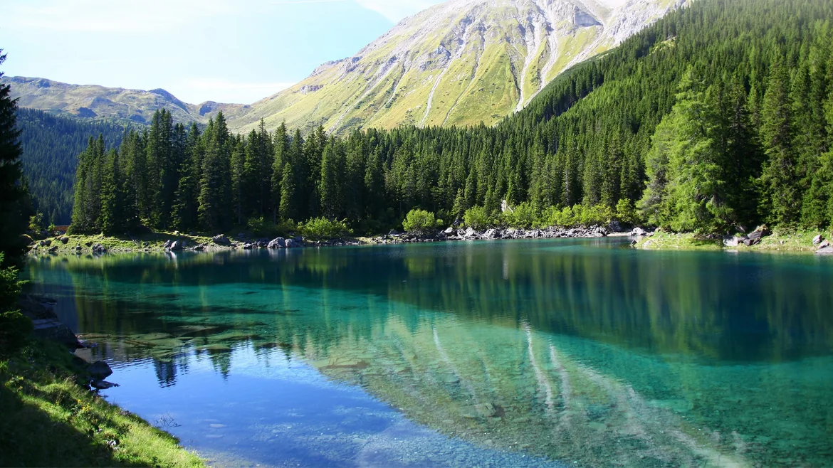 tip-image-Ile realnie kosztuje budowa stawu kąpielowego?